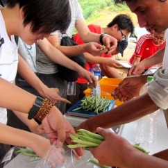 Gardening For Food: Vegetable packing race